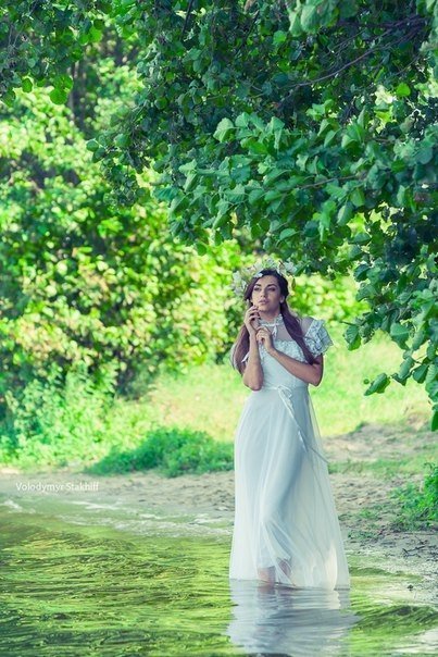 Автор: Володимир Стахів